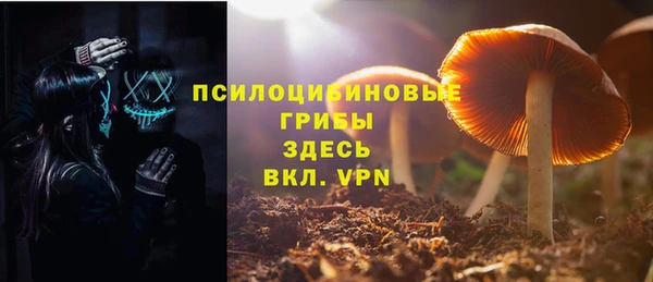 молекула духа Дмитриев