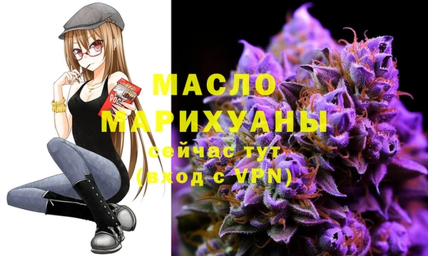хмурый Дмитровск