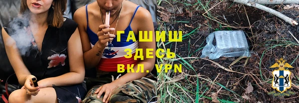 молекула духа Дмитриев