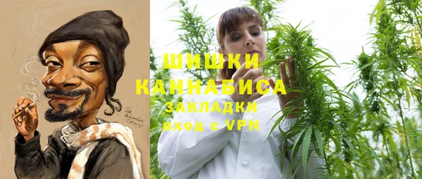 молекула духа Дмитриев