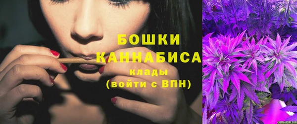 молекула духа Дмитриев