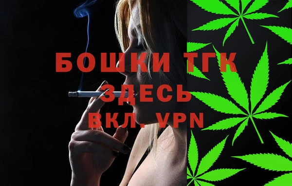хмурый Дмитровск